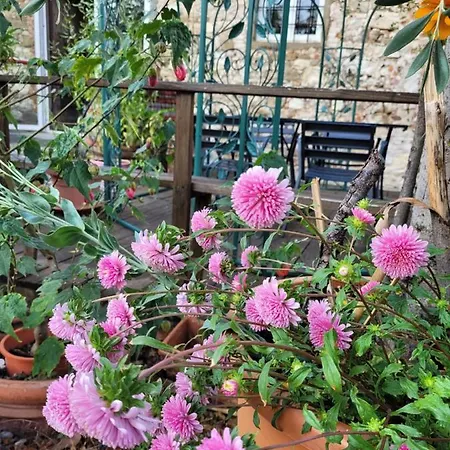 Agriturismo San Leo