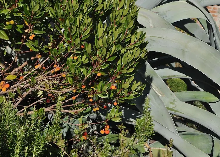 Agriturismo San Leo 팜스테이 필리네발다르노