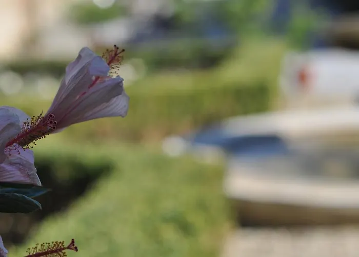 Agriturismo San Leo 팜스테이