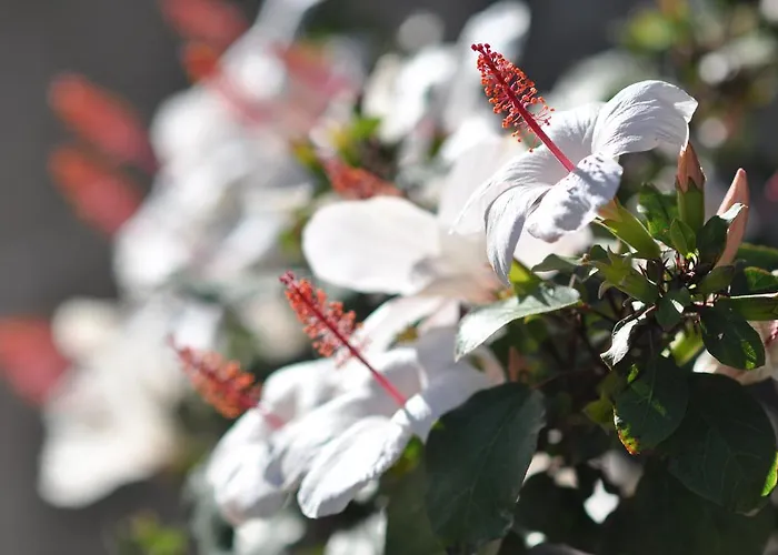 팜스테이 Agriturismo San Leo *