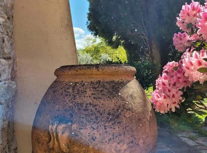 Agriturismo San Leo 필리네발다르노