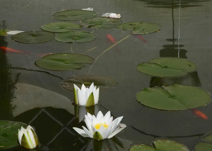 팜스테이 Agriturismo San Leo